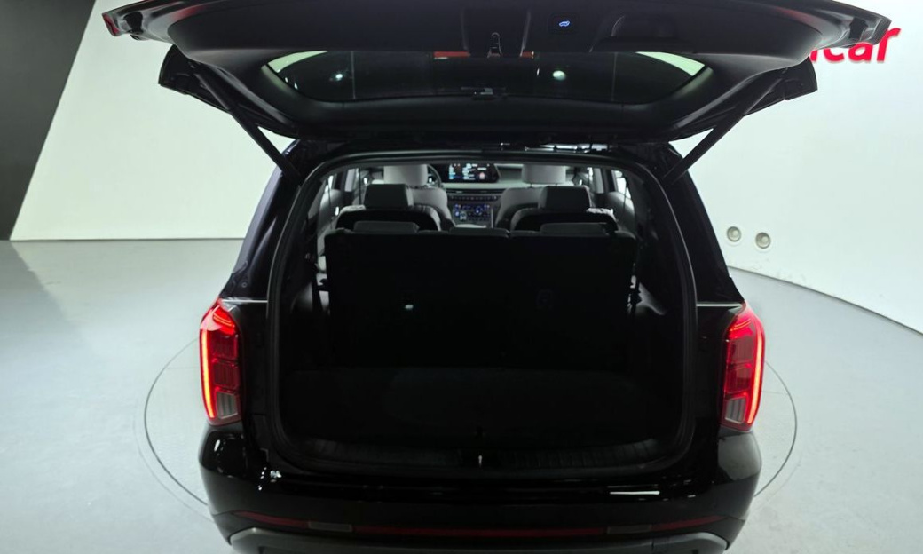 Hyundai Palisade Diesel 2.2 2WD, 2024