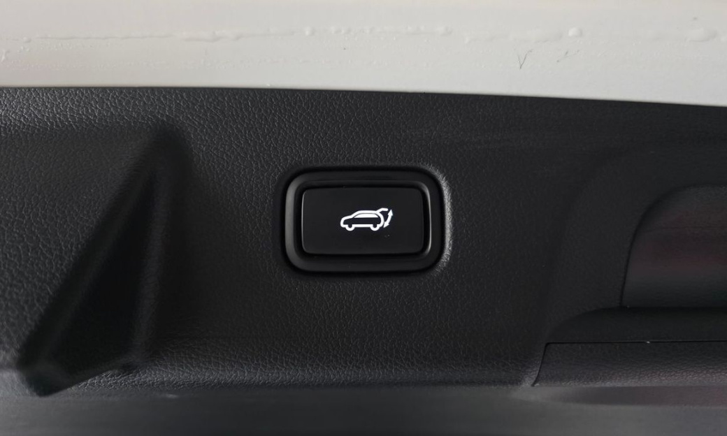 Hyundai Palisade Diesel 2.2 2WD, 2024