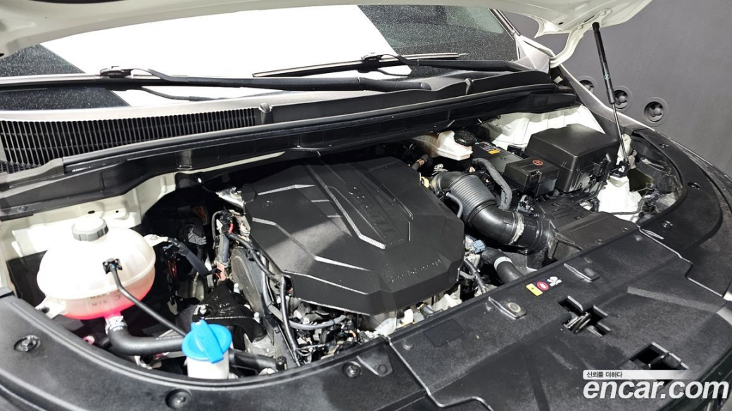 Kia Carnival 9-Seater Prestige, 2024
