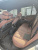 BMW X5 xDrive 40d M Sport Pro, 2026