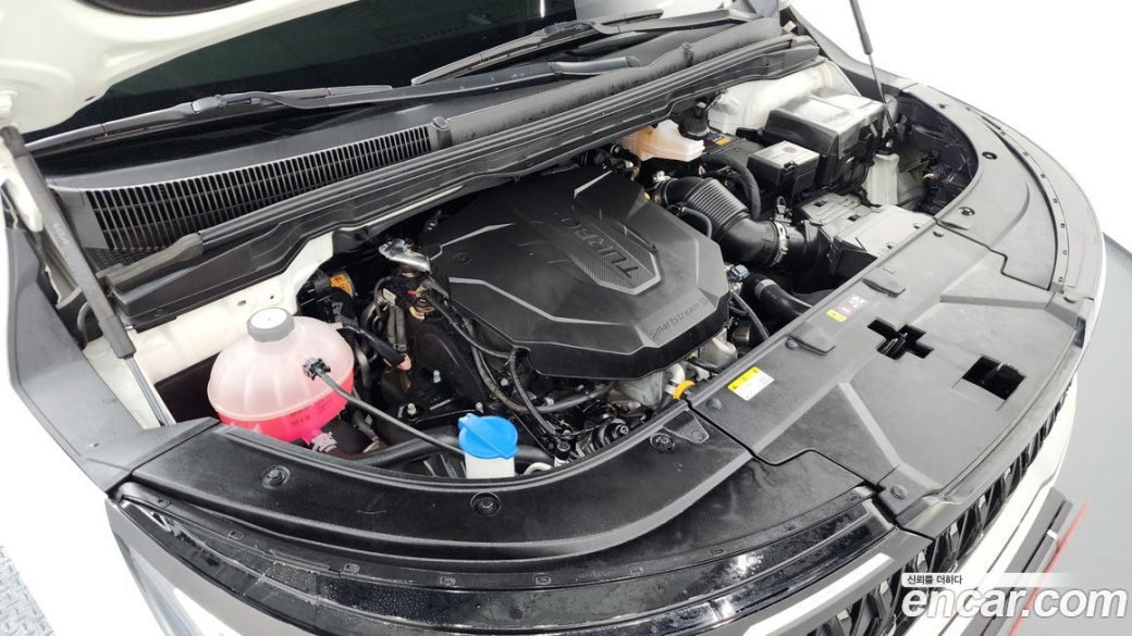 Kia Carnival 9-Seater Prestige, 2024