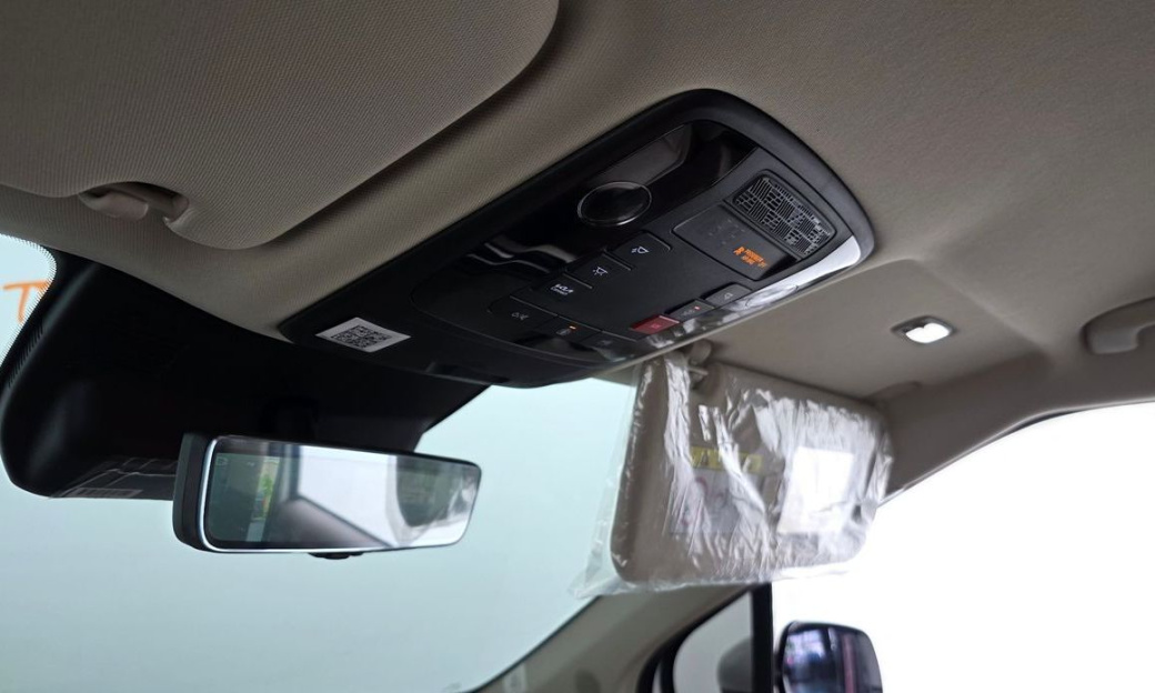 Kia Carnival 9-Seater Hi Limousine, 2024