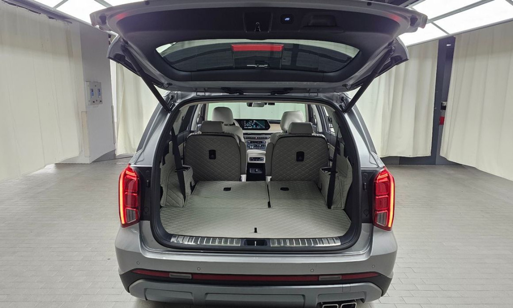 Hyundai Palisade Diesel 2.2 2WD, 2024