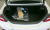 Genesis G70 Gasoline 2.5T 2WD, 2025
