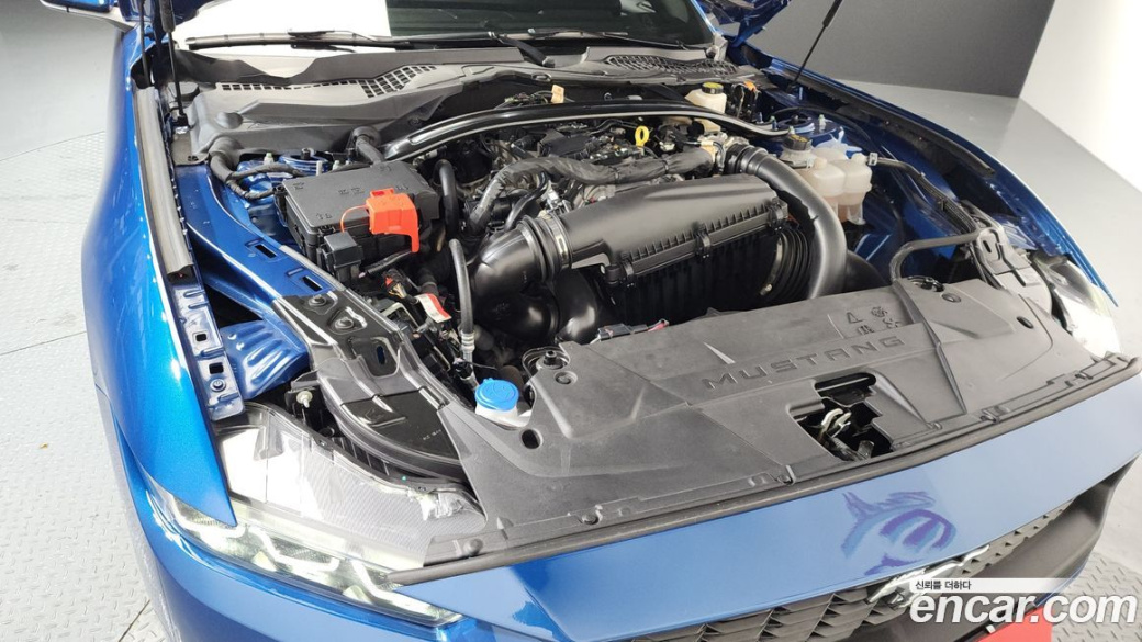 Ford Mustang 2.3 Ecoboost Premium Convertible, 2024