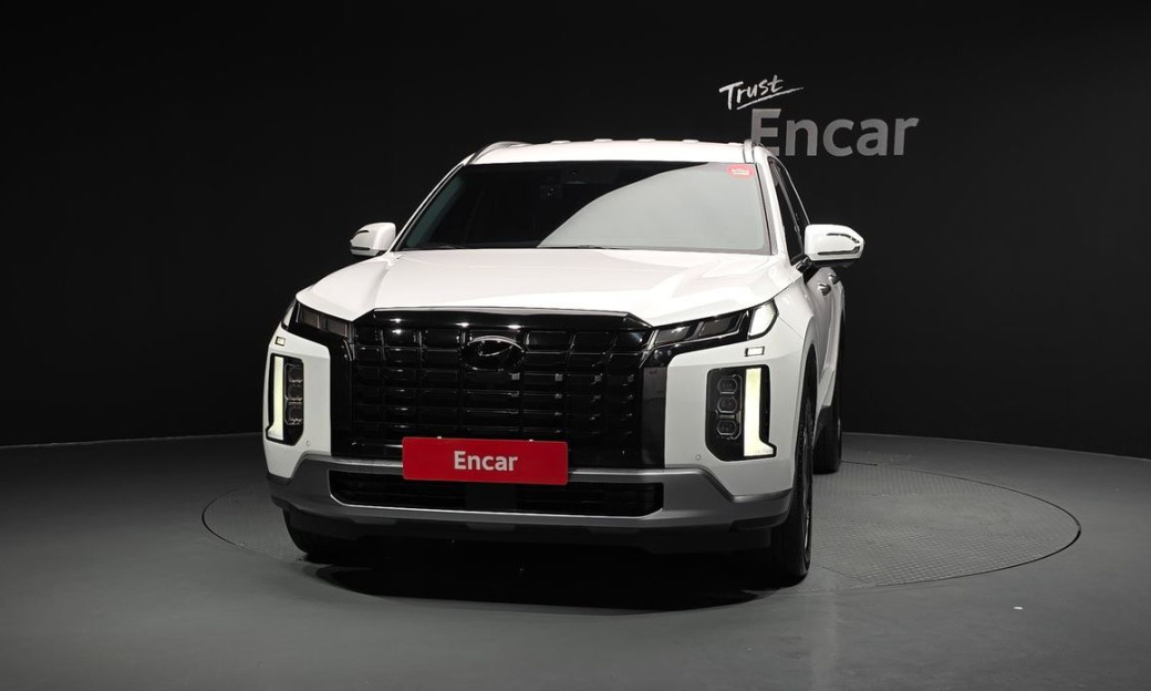 Hyundai Palisade Diesel 2.2 2WD, 2024