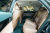 Hyundai Grandeur 2,5 Gasoline 2WD, 2026