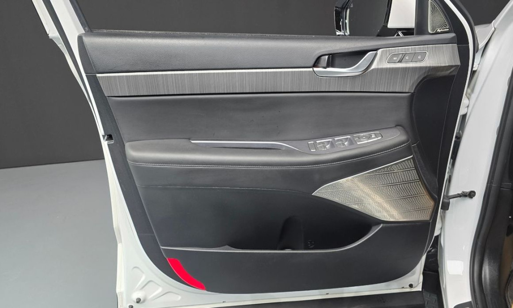 Hyundai Palisade Diesel 2.2 2WD, 2024