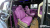 Kia Carnival 9-Seater Hi-Limousine(Special Vehicle), 2023