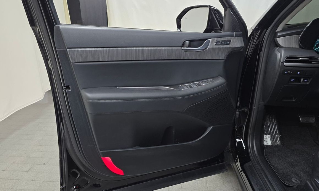 Hyundai Palisade Diesel 2.2 2WD, 2024