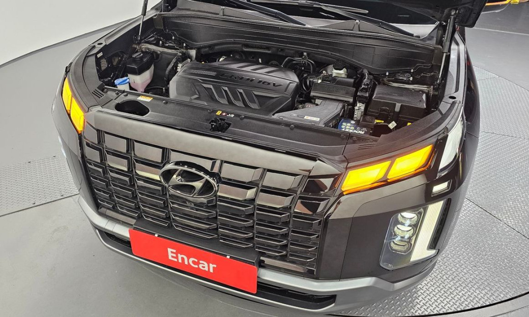 Hyundai Palisade Diesel 2.2 2WD, 2024
