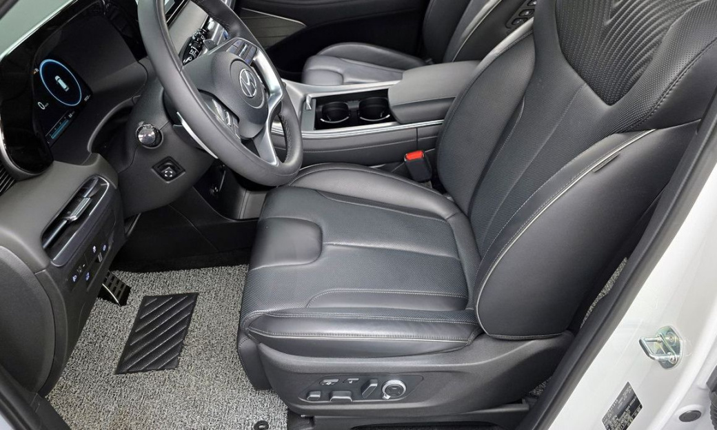 Hyundai Palisade Diesel 2.2 2WD, 2024