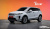 Land Rover Range Rover Evoque P250 SE, 2021