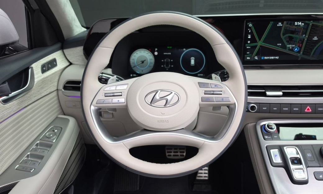 Hyundai Palisade Diesel 2.2 2WD, 2024