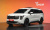 Kia Carnival 9-Seater Signature, 2024