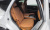 Genesis GV80 2.5T Gasoline 2WD, 2024