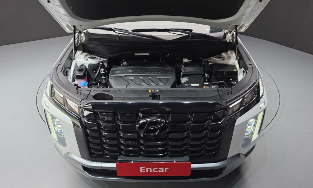Hyundai Palisade Diesel 2.2 2WD, 2024