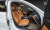 BMW 3-Series 320i, 2023