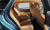 Genesis G80 Gasoline 2.5 Turbo 2WD, 2023