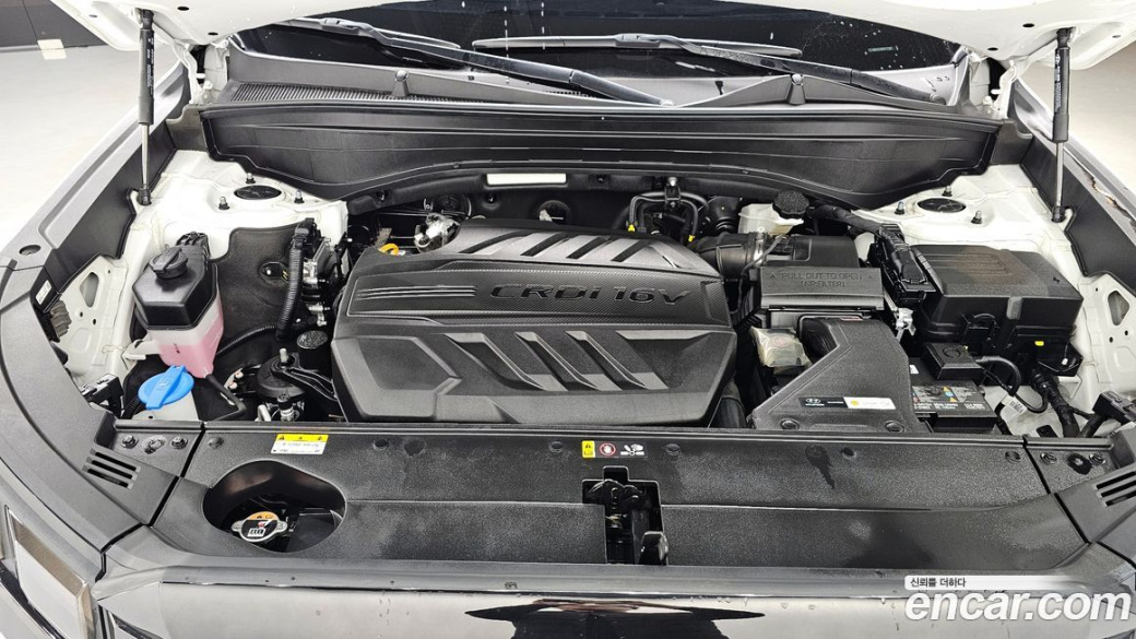 Hyundai Palisade Diesel 2.2 2WD, 2024
