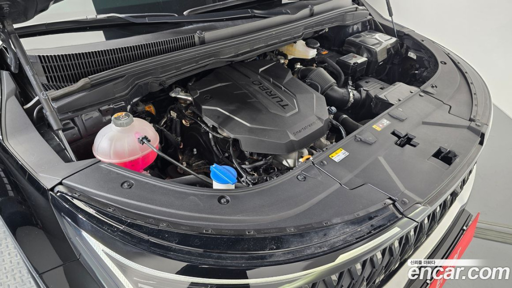 Kia Carnival 9-Seater Signature, 2024