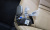 Kia Sorento Diesel 2.2 4WD, 2024
