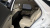 Genesis GV70 2.5T Gasoline AWD, 2025