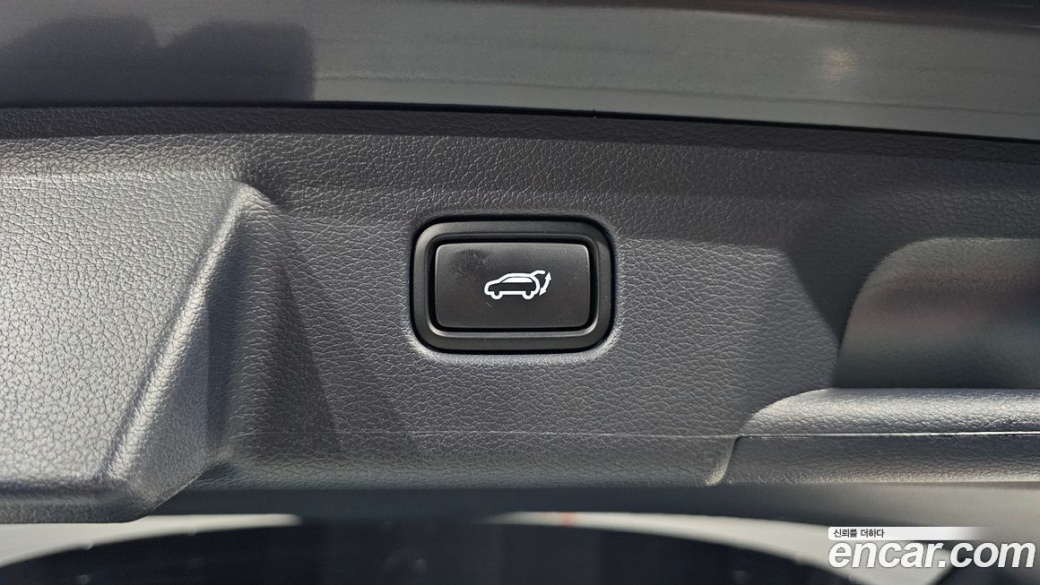Hyundai Palisade Diesel 2.2 2WD, 2024