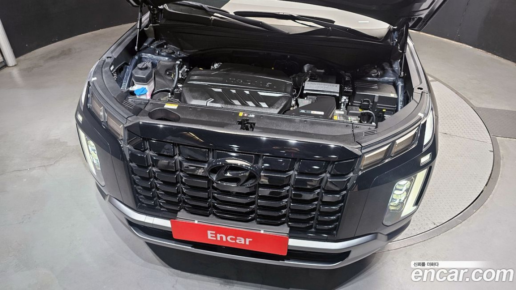 Hyundai Palisade Diesel 2.2 2WD, 2024