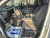 Kia Carnival 9-Seater Signature, 2025