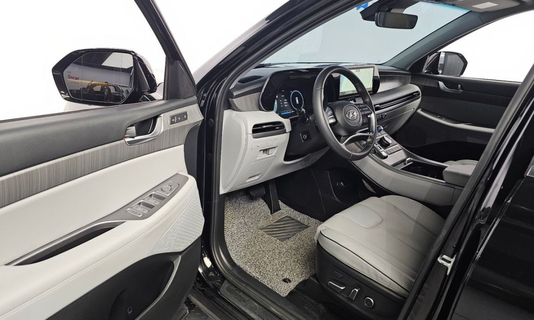 Hyundai Palisade Diesel 2.2 2WD, 2024