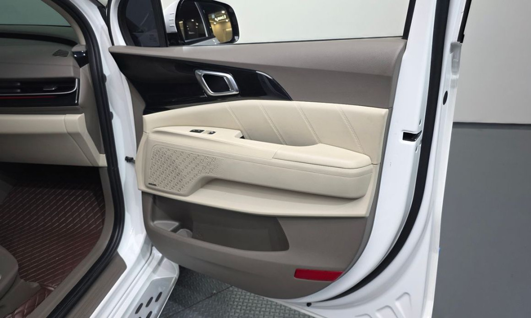 Kia Carnival 9-Seater Signature, 2024