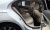 Mercedes-Benz E-Class E300 4MATIC Exclusive, 2024