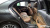 Mercedes-Benz E-Class E220d 4MATIC Exclusive, 2021