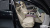 Genesis G80 Gasoline 2.5 Turbo AWD, 2026