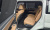Hyundai Santafe Gasoline 2.5T 2WD, 2024