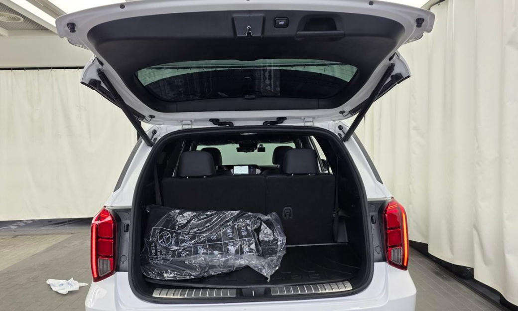 Hyundai Palisade Diesel 2.2 4WD, 2024