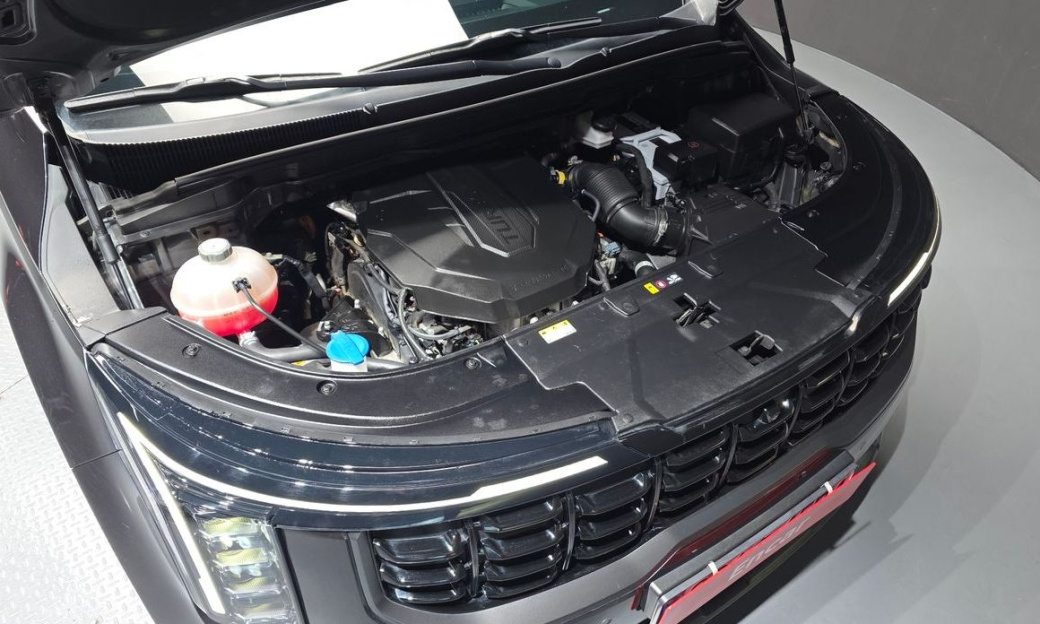 Kia Carnival 9-Seater Gravity, 2024