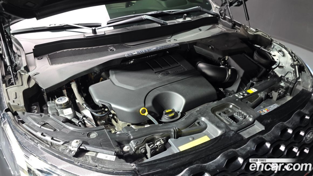 Land Rover Discovery Sport P250 Dynamic SE, 2025