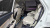 Hyundai Palisade Diesel 2.2 4WD, 2023