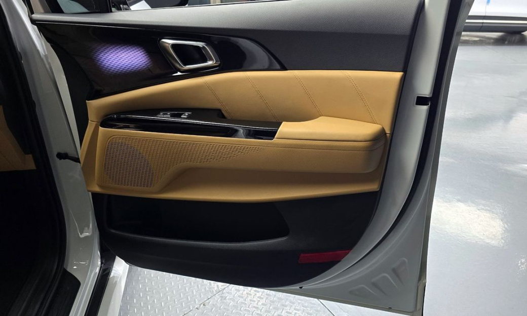 Kia Carnival 9-Seater Hi-Limousine(Special Vehicle), 2023