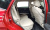 Genesis GV80 2.5T Gasoline 2WD, 2022