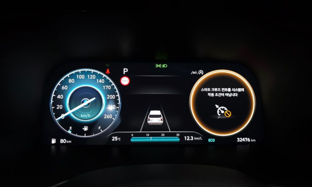 Hyundai Palisade Diesel 2.2 2WD, 2024