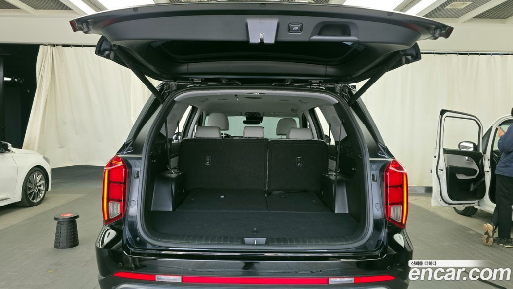 Hyundai Palisade Diesel 2.2 2WD, 2024