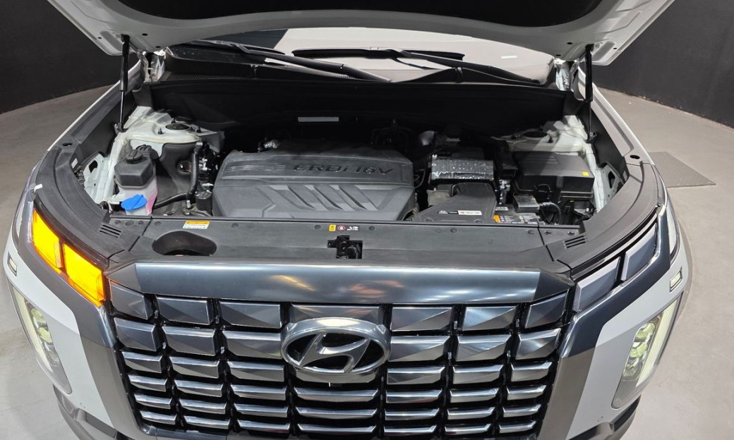 Hyundai Palisade Diesel 2.2 2WD, 2024