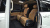 Kia Carnival 7-Seater Signature, 2022