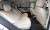 Mercedes-Benz S-Class S450L 4MATIC, 2025