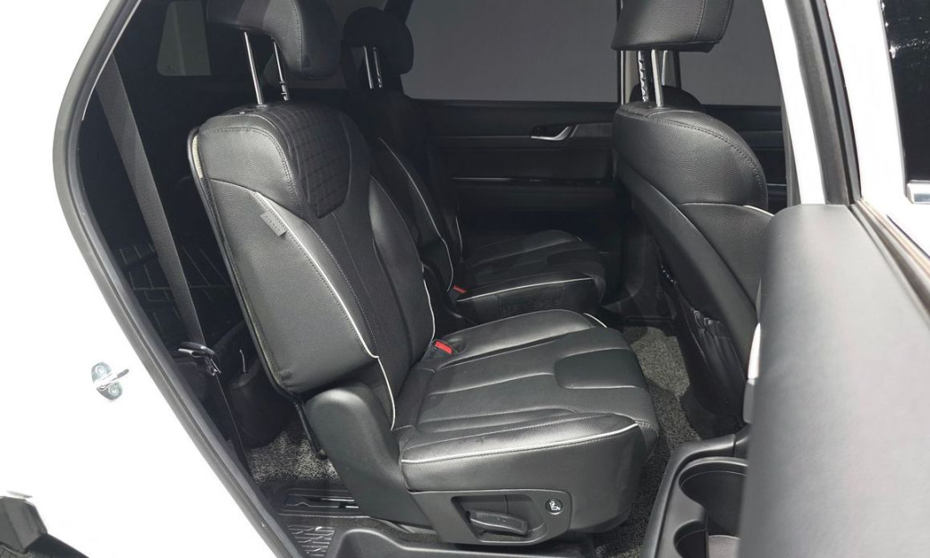 Hyundai Palisade Diesel 2.2 2WD, 2024