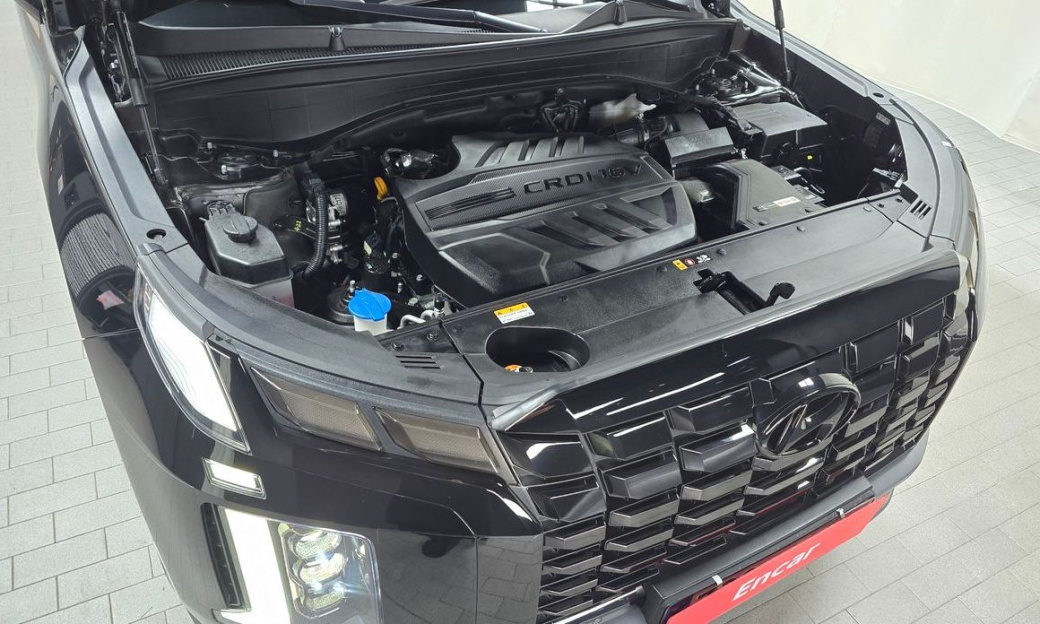Hyundai Palisade Diesel 2.2 2WD, 2024