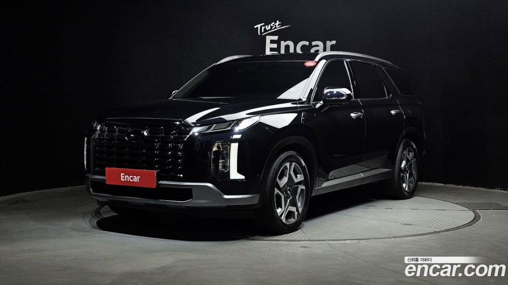 Hyundai Palisade Diesel 2.2 2WD, 2024